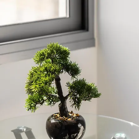 Babylon Luxury No3 By Binobi! Apartmán Soluň